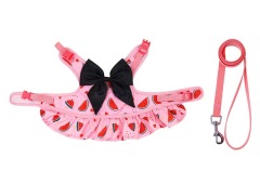 Pet  Harness with Leash Set