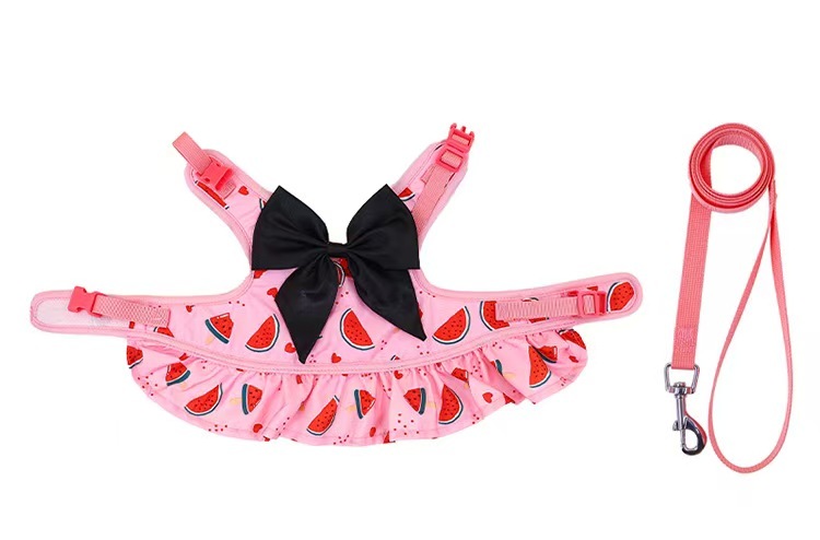 Pet  Harness with Leash Set