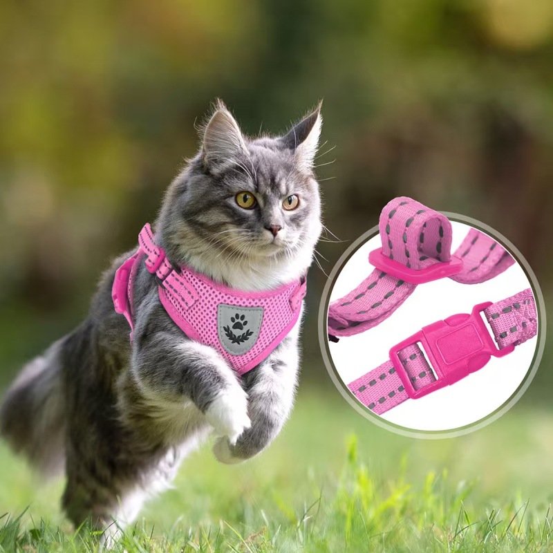 Pet  Harness with Leash Set