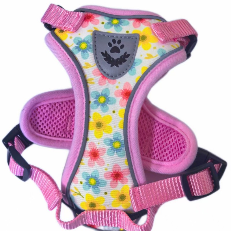 Cat  chest strap harness