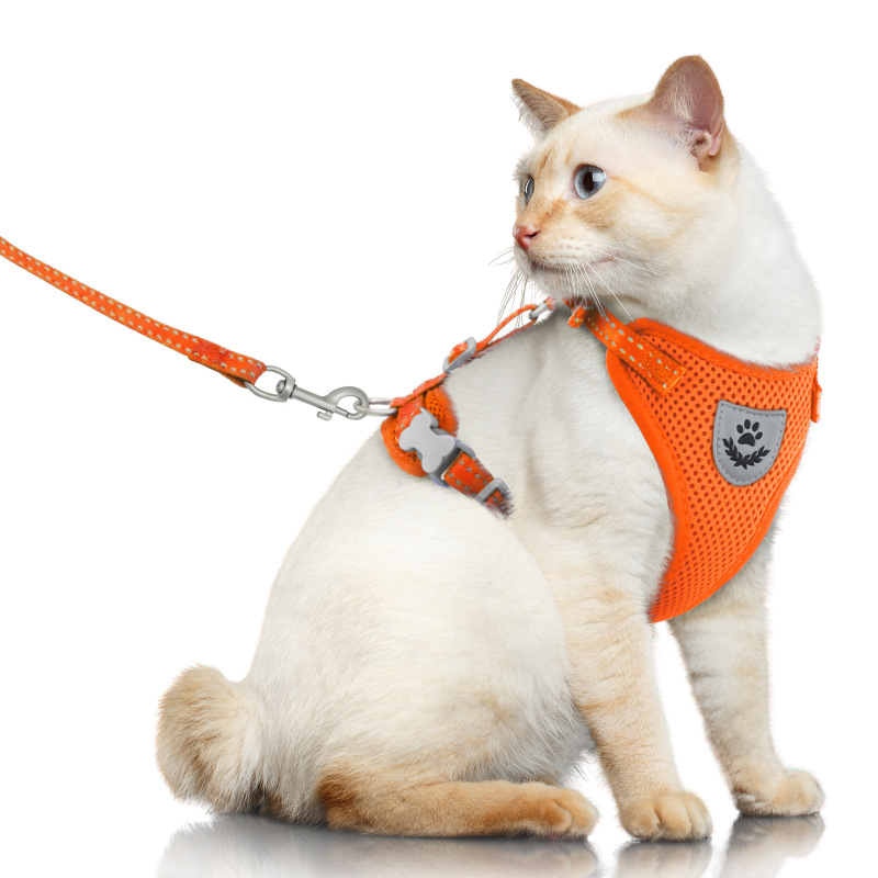 Pet  Harness with Leash Set