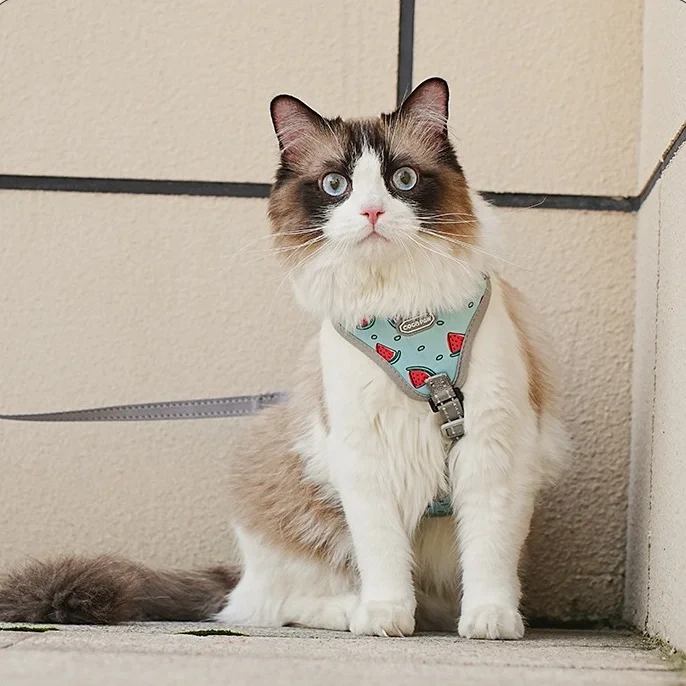 Lovely Fashion Strawberry Print Soft Air Mesh High Quality Pet Dog Cat Harness with Leash Set