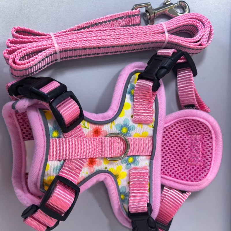 Cat  chest strap harness