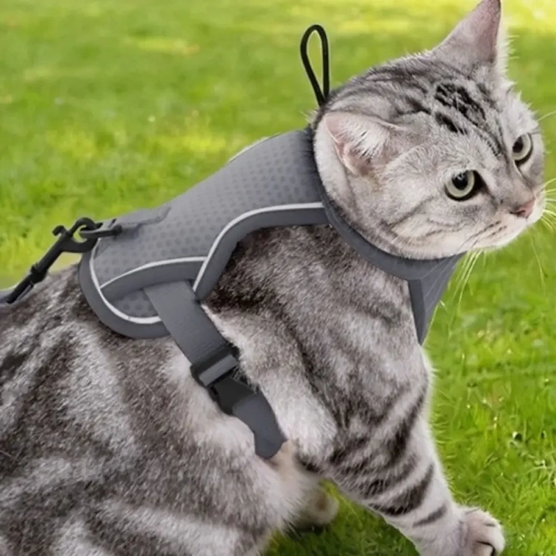 Reflective Design Cat Harness Vest Escape Proof Breathable Pet Walking Harness Adjustable Vest Comfortable Cat Lead Leash