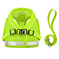 Pet  Harness with Leash Set