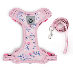 Pet  Cat Harness with Leash Set