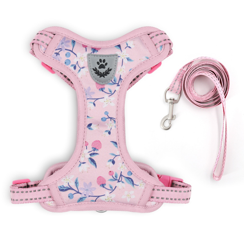Pet  Cat Harness with Leash Set