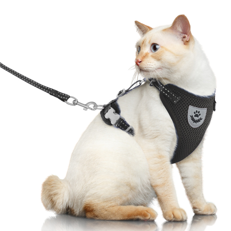 Pet  Harness with Leash Set