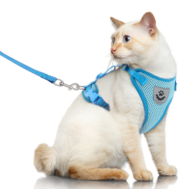 Pet  Harness with Leash Set