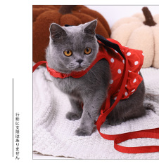 Pet  Harness with Leash Set