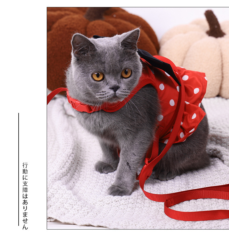 Pet  Harness with Leash Set