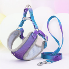 Pet  Cat Harness with Leash Set