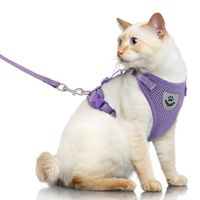 Pet  Harness with Leash Set