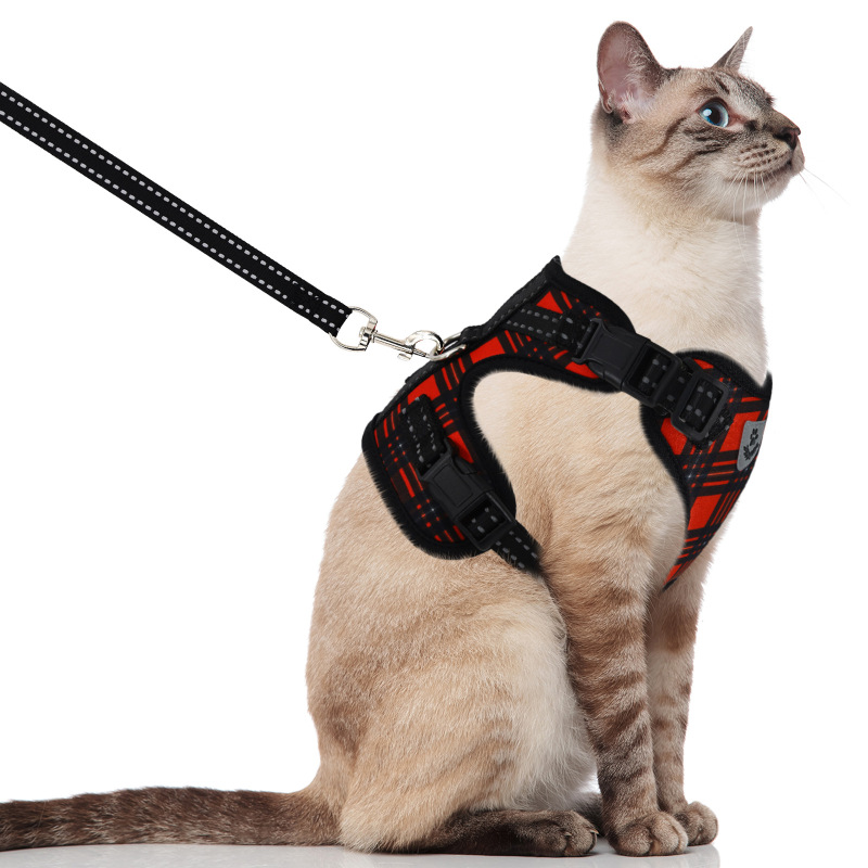 Pet  Cat Harness with Leash Set