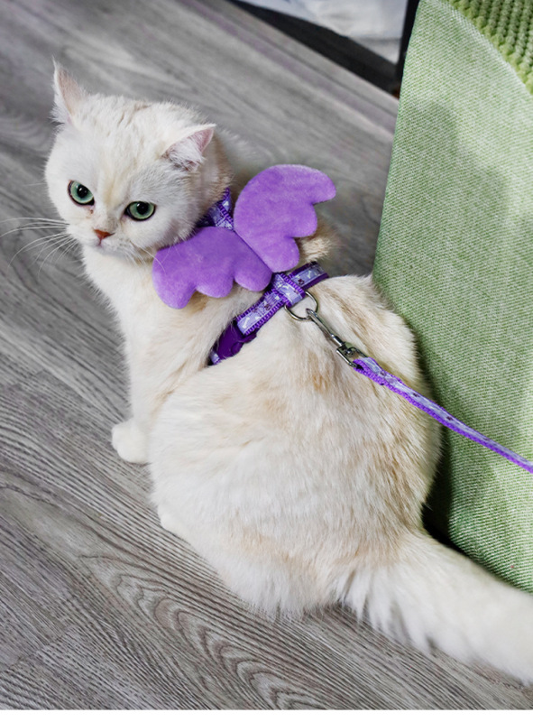 Pet  Harness with Leash Set