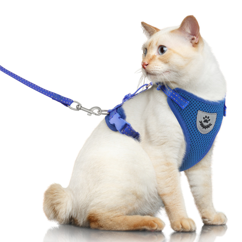 Pet  Harness with Leash Set