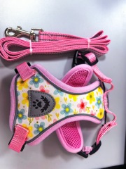 Cat  chest strap harness
