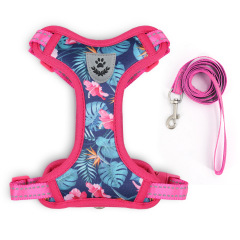 Pet  Cat Harness with Leash Set