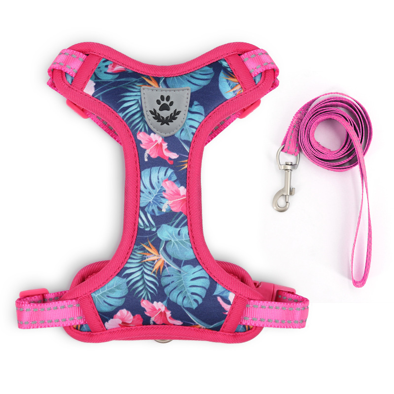 Pet  Cat Harness with Leash Set