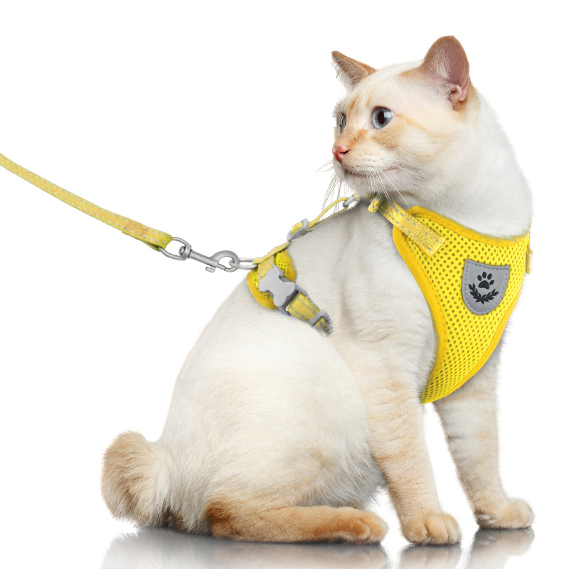 Pet  Harness with Leash Set