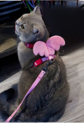 Pet  Harness with Leash Set