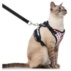Pet  Cat Harness with Leash Set
