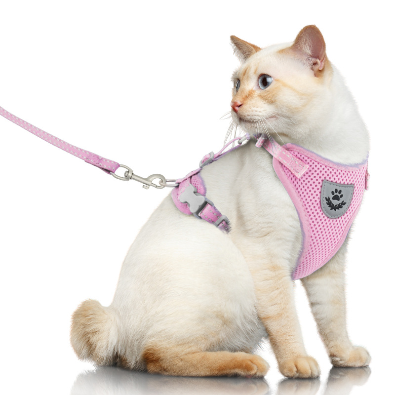 Pet  Harness with Leash Set