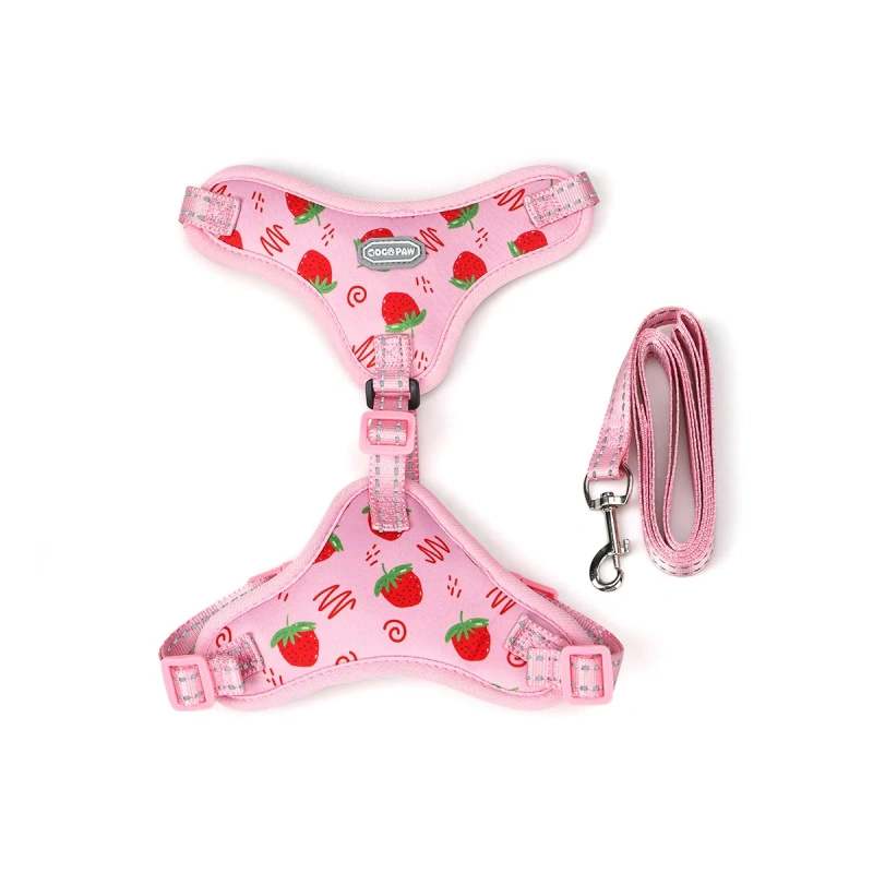 Lovely Fashion Strawberry Print Soft Air Mesh High Quality Pet Dog Cat Harness with Leash Set
