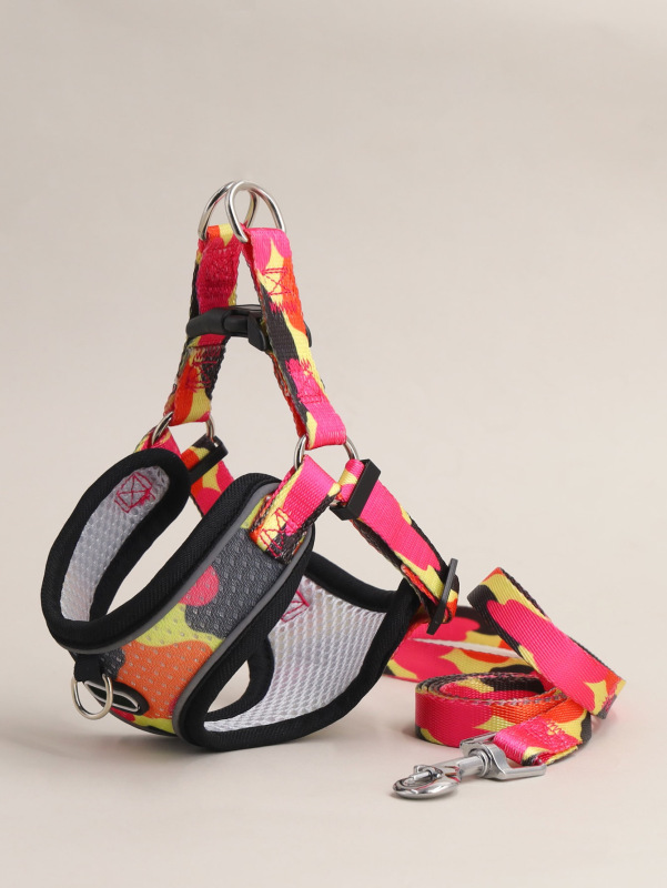 Pet  Cat Harness with Leash Set