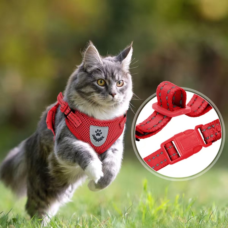 Pet  Harness with Leash Set