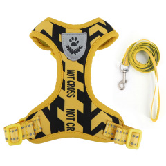 Pet  Cat Harness with Leash Set