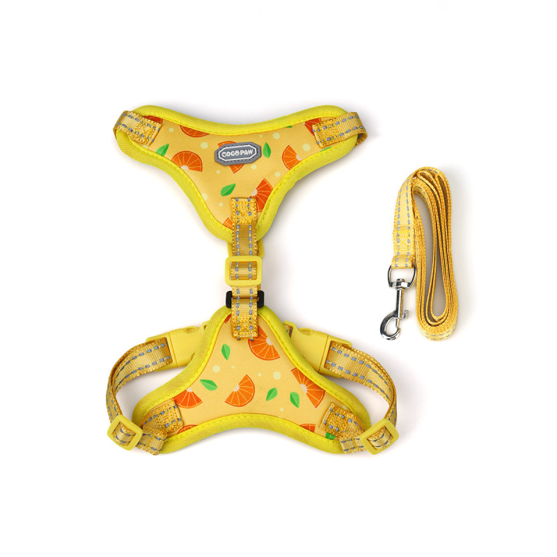 Pet  Cat Harness with Leash Set