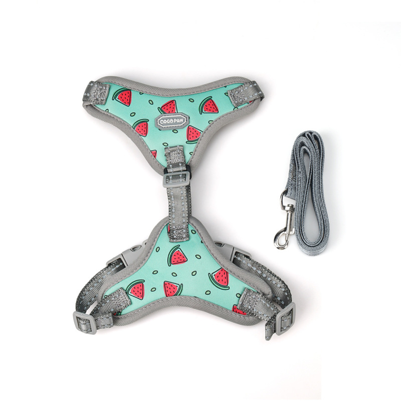 Pet  Cat Harness with Leash Set