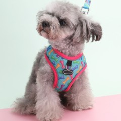 Pet  Cat Harness with Leash Set