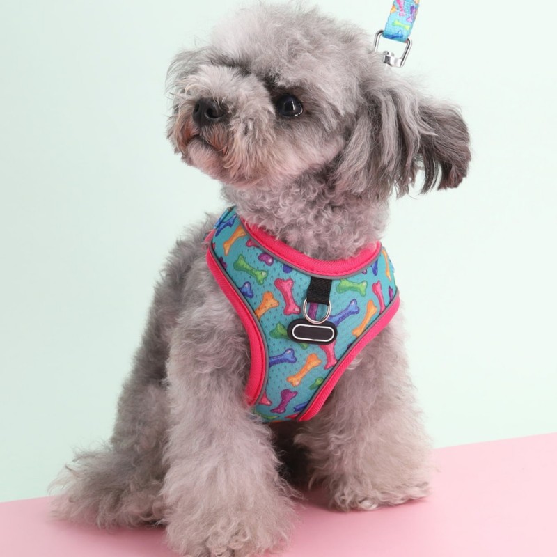 Pet  Cat Harness with Leash Set