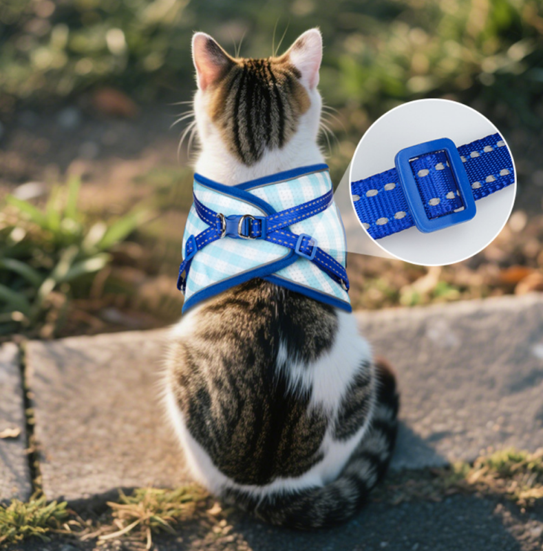 Pet  Harness with Leash Set