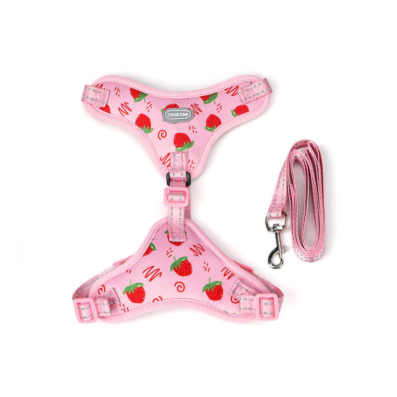 Pet  Cat Harness with Leash Set