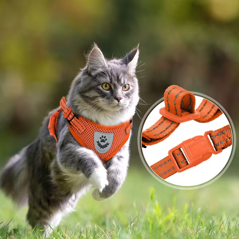 Pet  Harness with Leash Set