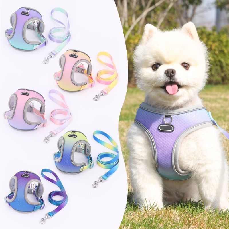 Pet  Cat Harness with Leash Set