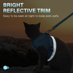 Pet  Harness with Leash Set