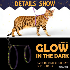 Cat glow-in-the-dark chest strap