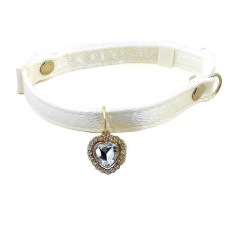 Cat safety collar