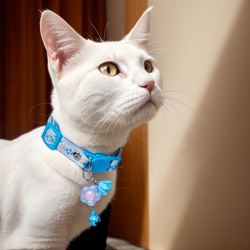 Cat safety collar