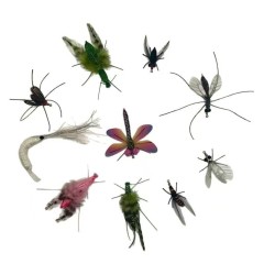 Replacement head for cats and insects