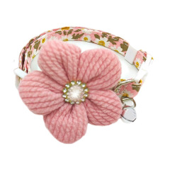 Cat Collars