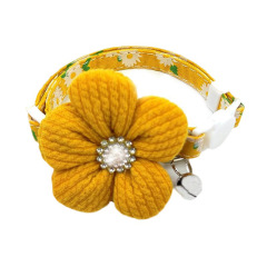 Cat Collars