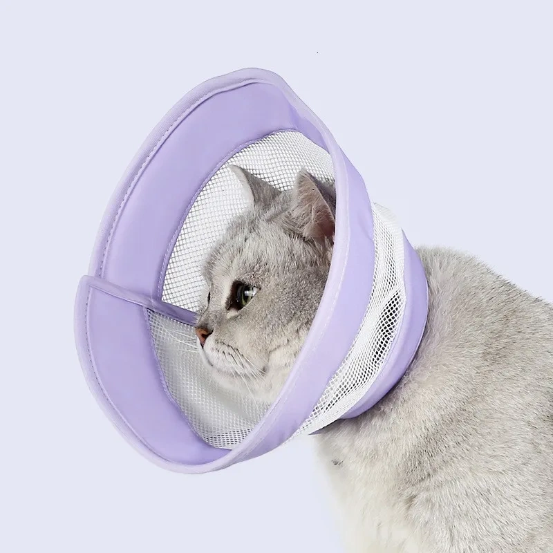 Pet Cat Dogs Health Recovery Elizabethan Cotton Filling Collar Protective Medical Cone E- Collar for Dog and Cat Pet Collar