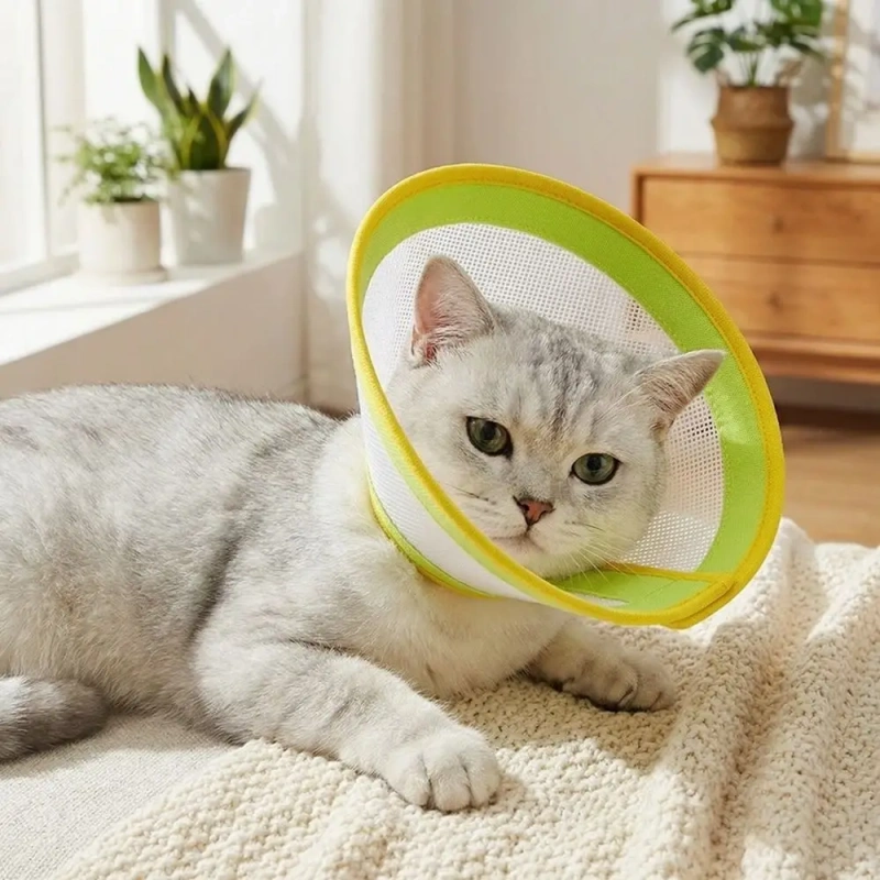 Adjustable Pet Elizabethan Collars Breathable Mesh Cat Cone Collar Anti-Bite Comfortable Anti Lick Collar Recovery Period