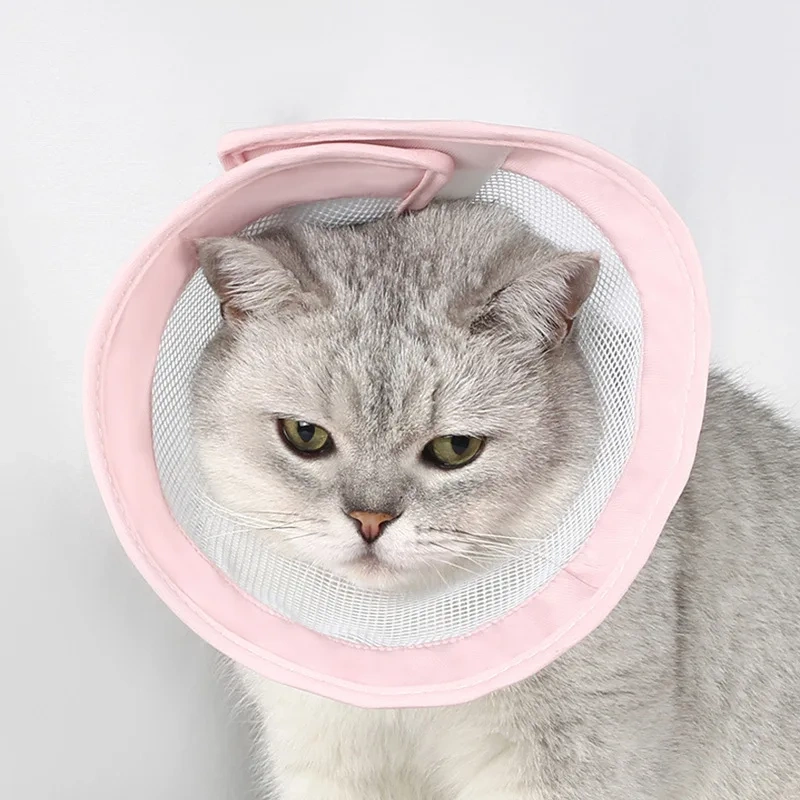 Pet Cat Dogs Health Recovery Elizabethan Cotton Filling Collar Protective Medical Cone E- Collar for Dog and Cat Pet Collar