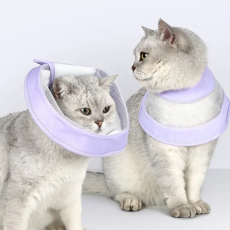 Pet Cat Dogs Health Recovery Elizabethan Cotton Filling Collar Protective Medical Cone E- Collar for Dog and Cat Pet Collar